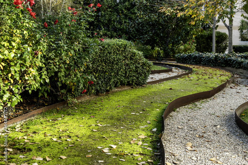 Obraz premium A path through a park with hedges, flowers and trees with the ground covered with moss and tree leaves
