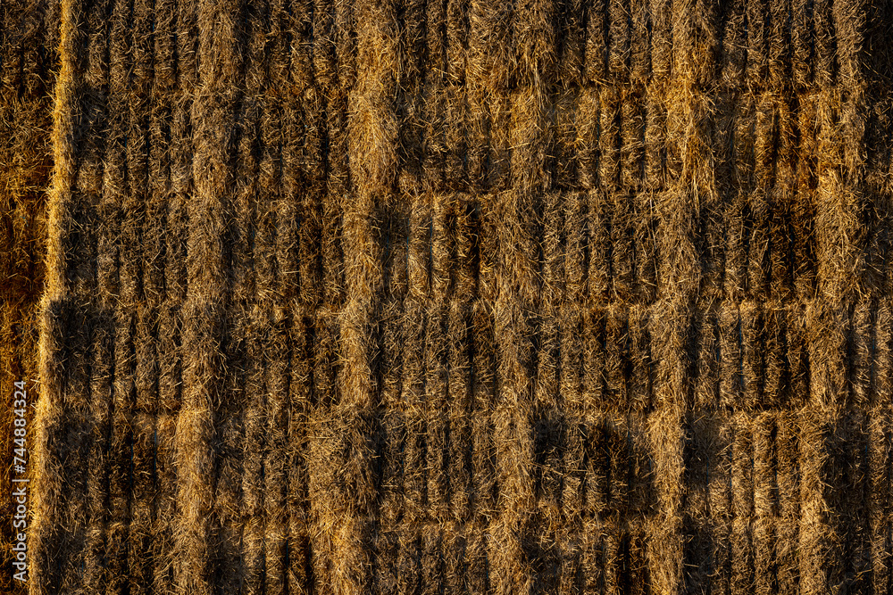 wheat straw stacked in the field after harvest wheat straw stacked in the field after harvest
