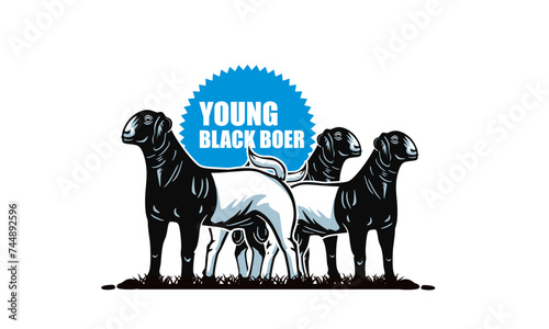 YOUNG BLACK BOER GOAT LOGO, silhouette of great ram standing vector illustrations