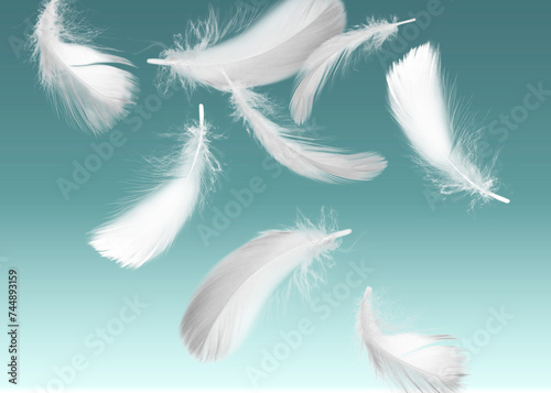 Fluffy bird feathers falling on teal background