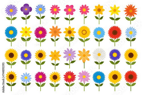 set of flowers 17