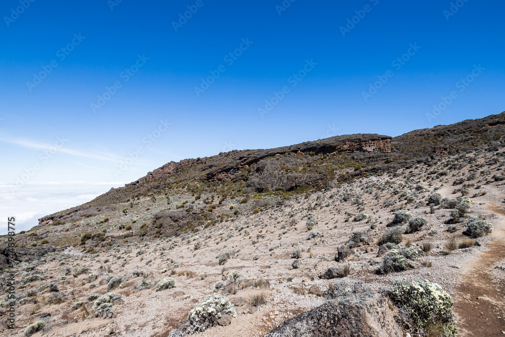 Fototapeta premium A Rocky Terrain Under the Clear Blue Sky, Kilimanjaro