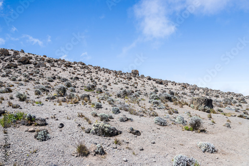 A Rocky Terrain Under the Clear Blue Sky, Kilimanjaro