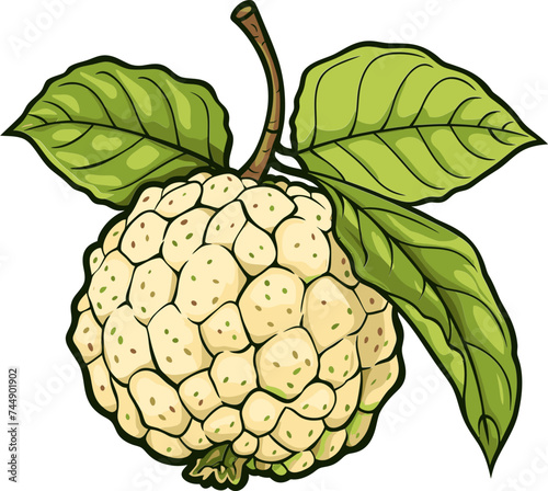 Custard Apple Contribution to Agrotourism Farm Visits and Ecotourism Opportunities