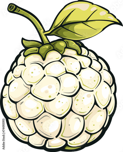 Custard Apple Postharvest Management Storage Techniques for Prolonging Shelf Life