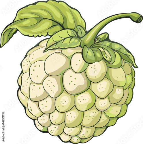 Custard Apple Impact on Soil Health Contributions to Agroecosystem Sustainability