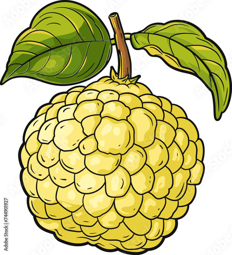 Custard Apple Potential in Urban Agriculture Cultivation in Limited Spaces