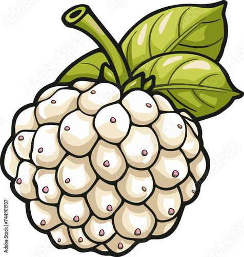 The Influence of Custard Apple Rootstocks on Tree Growth and Fruit Quality