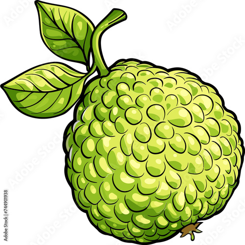 The Cultural Significance of Custard Apples in Indigenous Communities Myths and Traditions