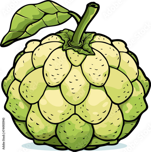 The Economic Impact of Custard Apple Farming A Comprehensive Analysis
