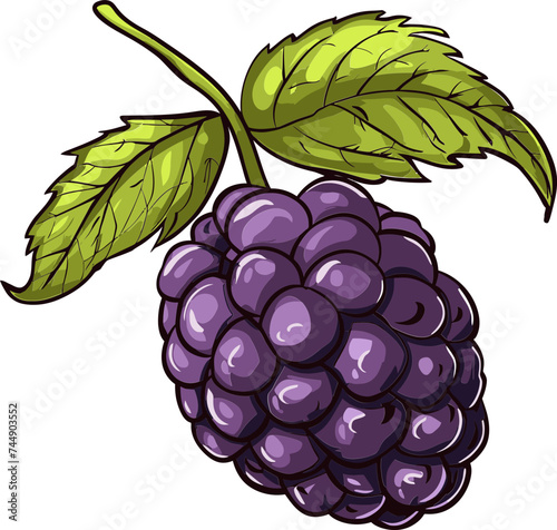 The Mulberry Mirage Dispelling Myths and Misconceptions Surrounding the Fruit