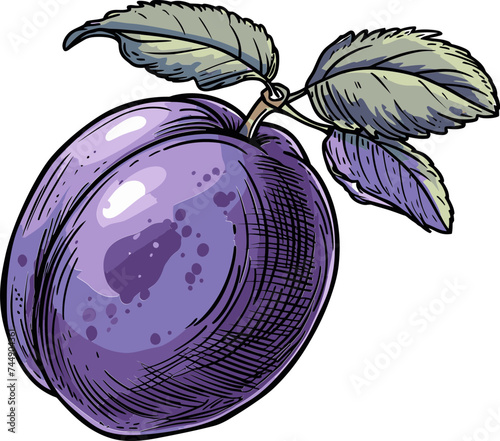 Plum Odyssey Embarking on a Flavorful Journey Through the Diverse Regions and Terroirs of Plum Growing
