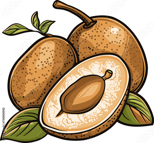 Sapodilla Symphony Harmonizing Sweetness and Nutrients in One Fruit