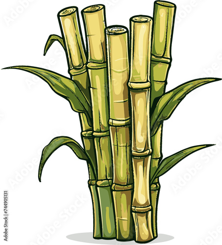 Unveiling the Juicy Secrets The Story of Sugarcane Fruit in Agriculture and Cuisine