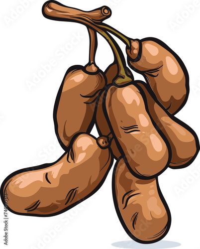 Tamarind Tales From the Rainforest to Your Plate