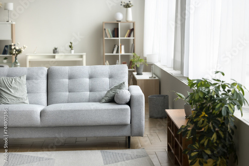 Fotografie Pretty simple interior design of cozy living room with modern furniture, comfortable sofa, shelving and houseplants, daylight, no people
