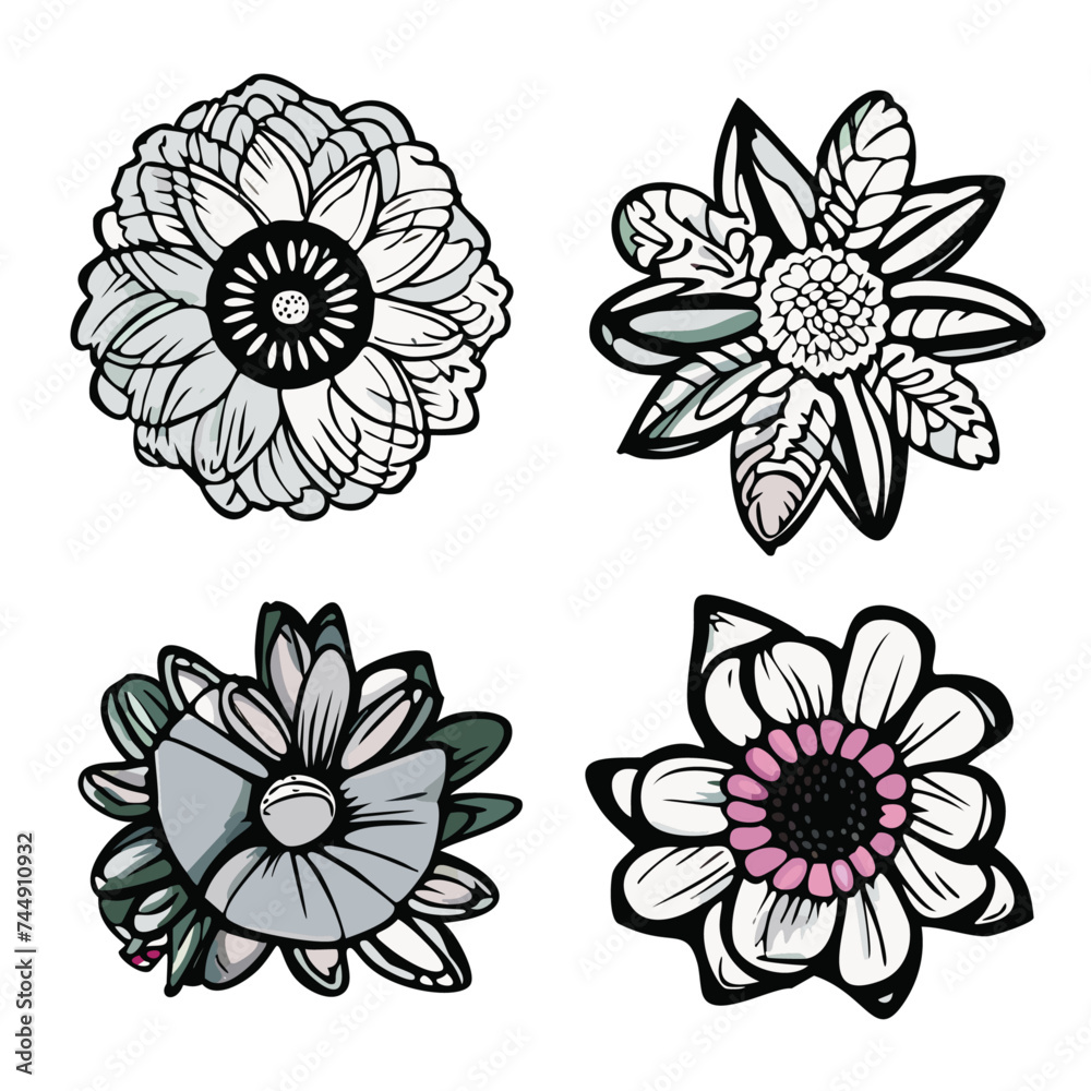 Vector Illustration of Single Flower Doodles Drawing: Spring Flower Outline Set including Rose, Sunflower, Daisy, Hibiscus, Peony, Camellia, Morning Glory, etc., Image, Illustrative