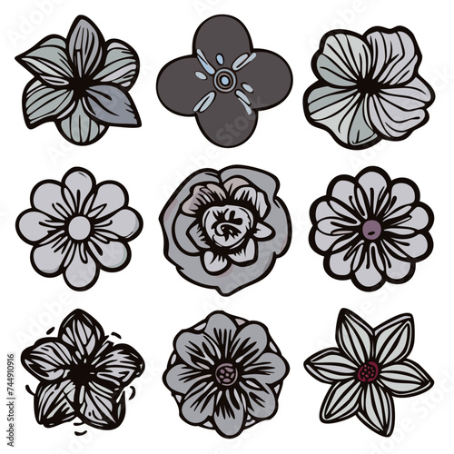 Vector Illustration of Single Flower Doodles Drawing: Spring Flower Outline Set including Rose, Sunflower, Daisy, Hibiscus, Peony, Camellia, Morning Glory, etc., Image, Illustrative