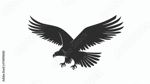 Eagle elegant silhouette isolated on white backgroun