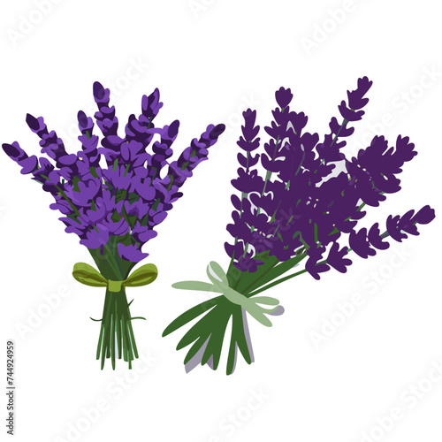 Vector Illustrations of Lavender Bunch: Beautiful Lavender Bouquet Bundle with Ribbon, Top-performing, Trending, Popular, Stock, Image, purple lavender bouquet of flowers wrapped in ribbon, cutout vec
