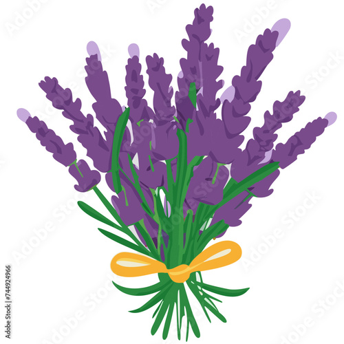 Vector Illustrations of Lavender Bunch: Beautiful Lavender Bouquet Bundle with Ribbon, Top-performing, Trending, Popular, Stock, Image, purple lavender bouquet of flowers wrapped in ribbon, cutout vec