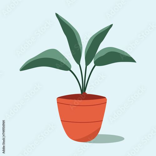 Seamless office plants of decorative exotic tropical green houseplants and flowers in colorful pots