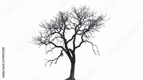 Isolated bare tree silhouette vector design isolated