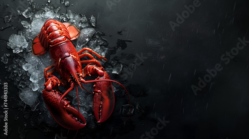 A beautiful red lobster lying on ice and on a black or dark background with space.  generative ai 