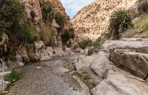 A shallow stream flows between high rocks in gorge Wadi Al Ghuwayr or An Nakhil and wadi Al Dathneh near Amman in Jordan