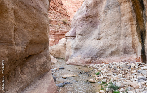 A shallow mountain stream flows between high rocks in the gorge Wadi Al Ghuwayr or An Nakhil and the wadi Al Dathneh near Amman in Jordan