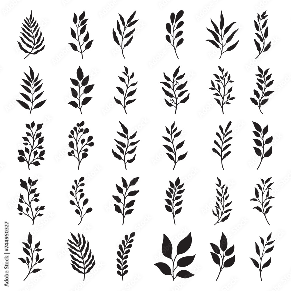 Set of branch and leaves vector Set of branch and leaves vector