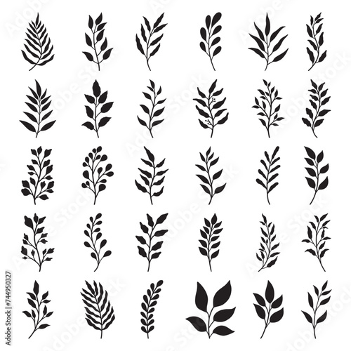 Set of branch and leaves vector 