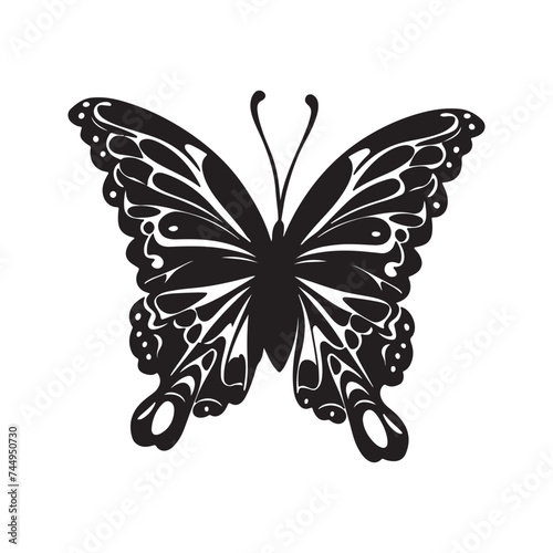 beautiful butterfly silhouette 