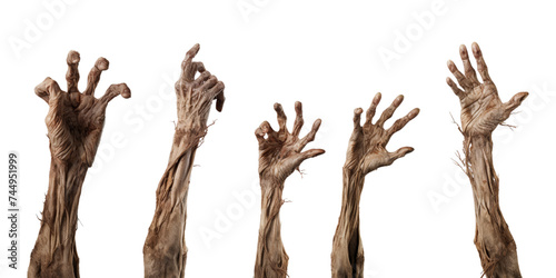 Collection of zombie hand rising from the ground isolated on a white background as transparent PNG