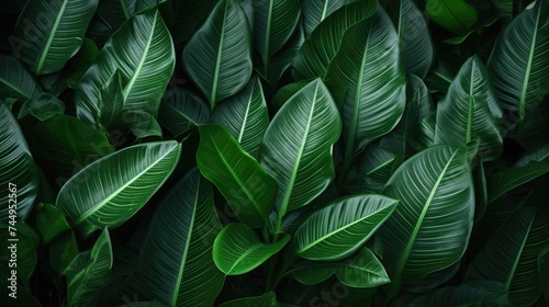Creative fluorescent color layout made of tropical leaves. Flat lay neon colors. Nature concept..jpeg