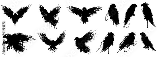 Handdrawn black silhouettes of birds. Black ink of Eagle, raven, hawk, falcon vector illustration photo