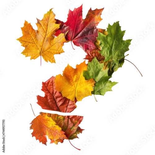 Autumn Inquiry - Question Mark Composed of Colorful Fall Maple Leaves Isolated on White