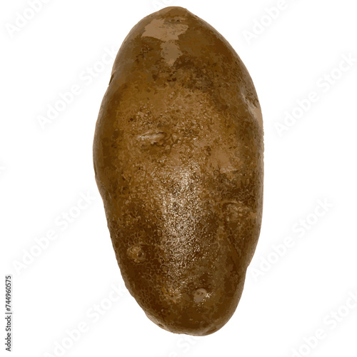 A russet baking potato