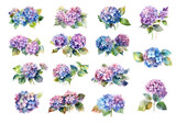 Watercolor hydrangea, lilac, hortensia on transparent background.  Hydrangea stickers white outline.  AI generated illustration..