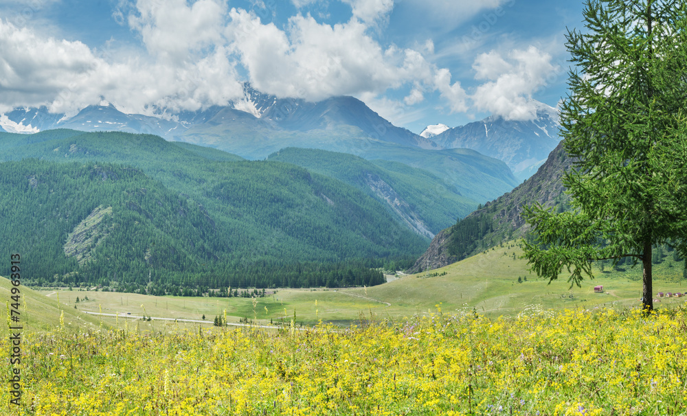 View of a picturesque mountain valley, green meadows and forests, snow-capped peaks, summer day