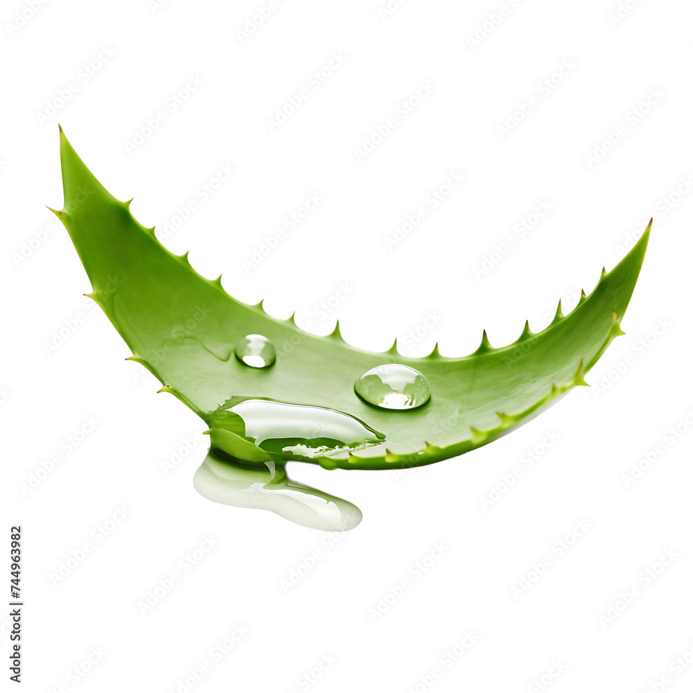 Obraz premium Aloe Vera Clarity Cutout, Ensuring Precise and Well Defined Visual Elements