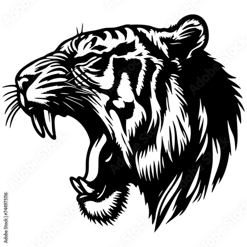 Tiger Roar Illustration.