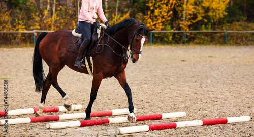 Horse with rider on the riding arena doing ground work with trotting poles.