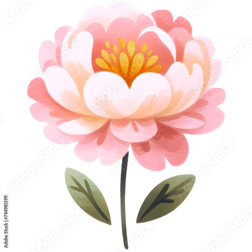 Fototapeta Naklejka Na Ścianę i Meble -  Watercolor peony flower clipart with transparent background