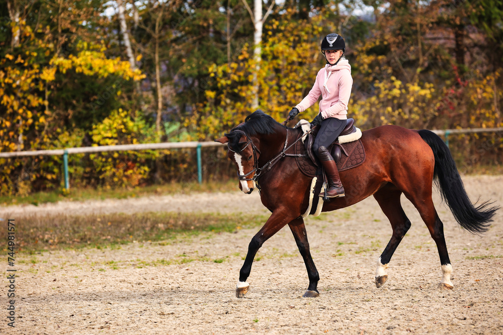 Horse with rider on the riding arena doing ground work with trotting poles. Horse with rider on the riding arena doing ground work with trotting poles.