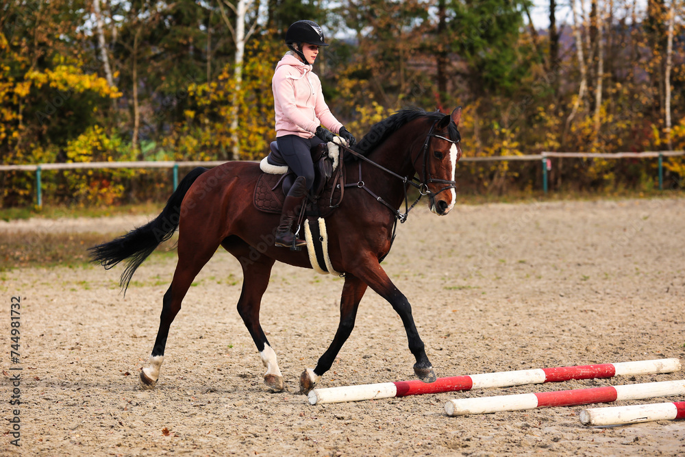 Horse with rider on the riding arena doing ground work with trotting poles. Horse with rider on the riding arena doing ground work with trotting poles.