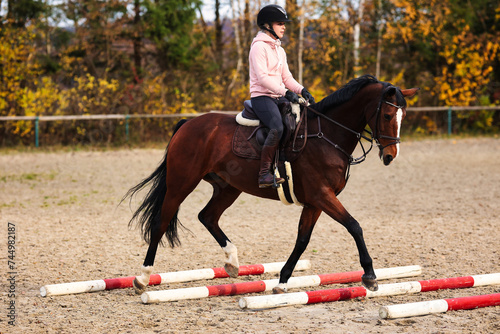 Horse with rider on the riding arena doing ground work with trotting poles. photo