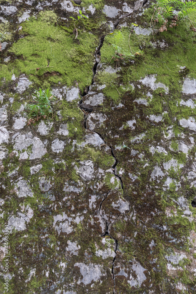 An old cracked stone wall covered with moss An old cracked stone wall covered with moss