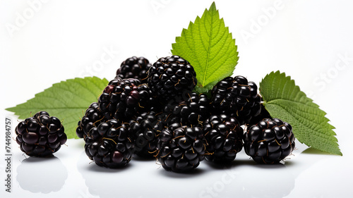 blackberry, blackberry in white background, blackberry with leaf, blackberries, fruit, healthy foods