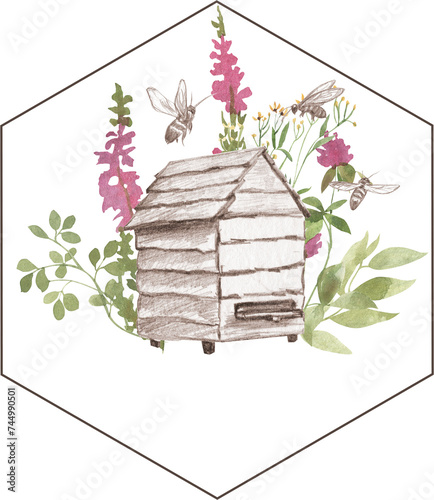 Drawing of a beehive with watercolor flowers